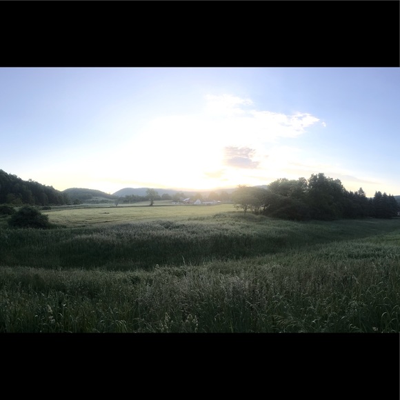 Meet your Posher, Patricia - Picture 1 of 1